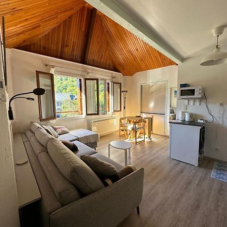 Appartement Borderes-Louron 1 A 3 Personnes 3 Etoiles, Proche Loudenvielle Eksteriør billede
